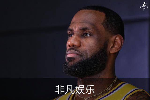 非凡娱乐公司简介展示图